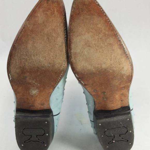 BEAUTIFULL BLUE OSTRICH - Picture 4 of 7